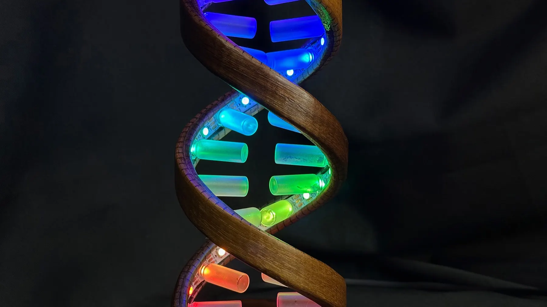 Gesture-Controlled DNA Lamp: close-up of the illuminated double helix