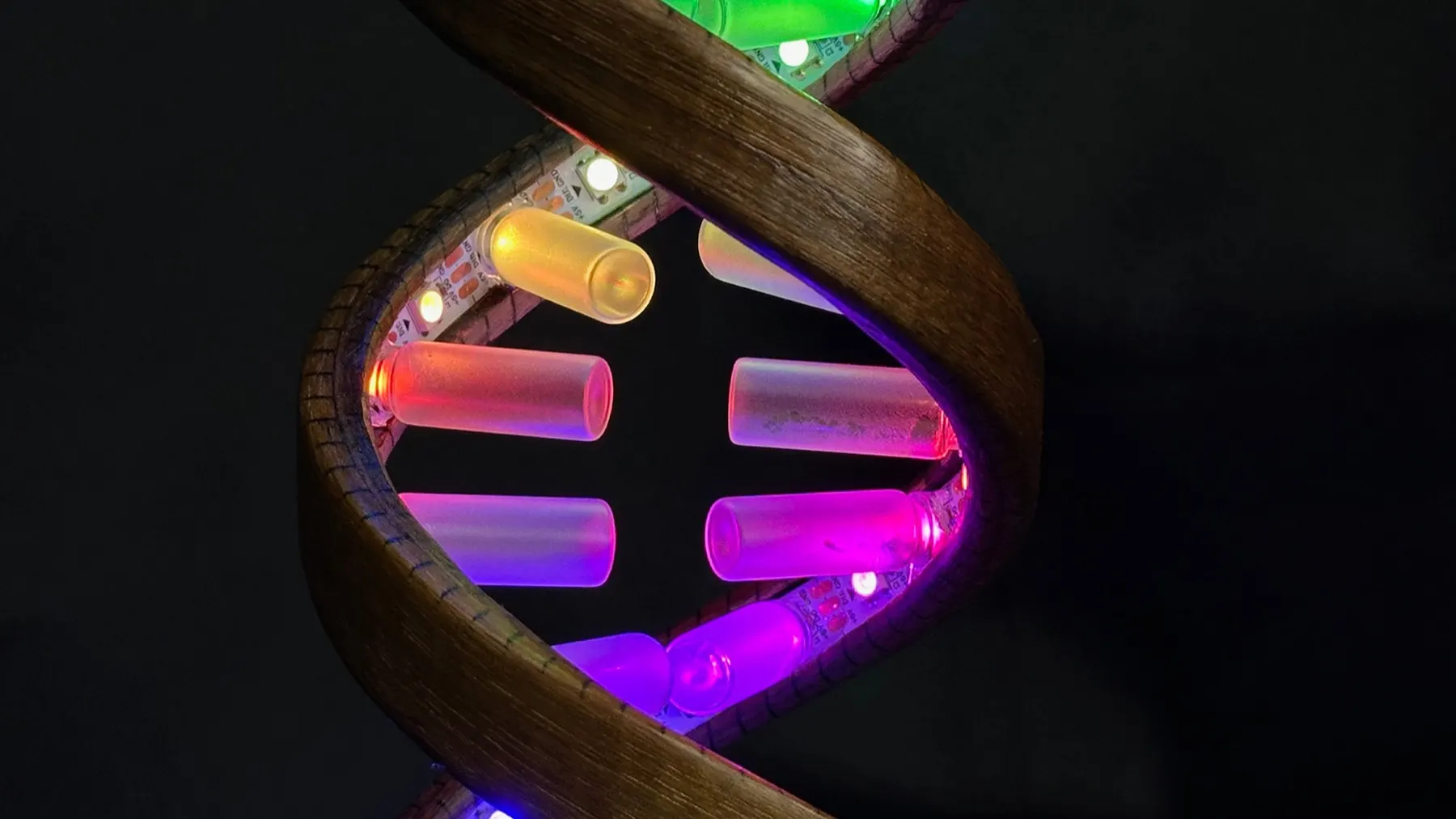 Gesture-Controlled DNA Lamp: glass-bottle diffusers between the wooden spirals