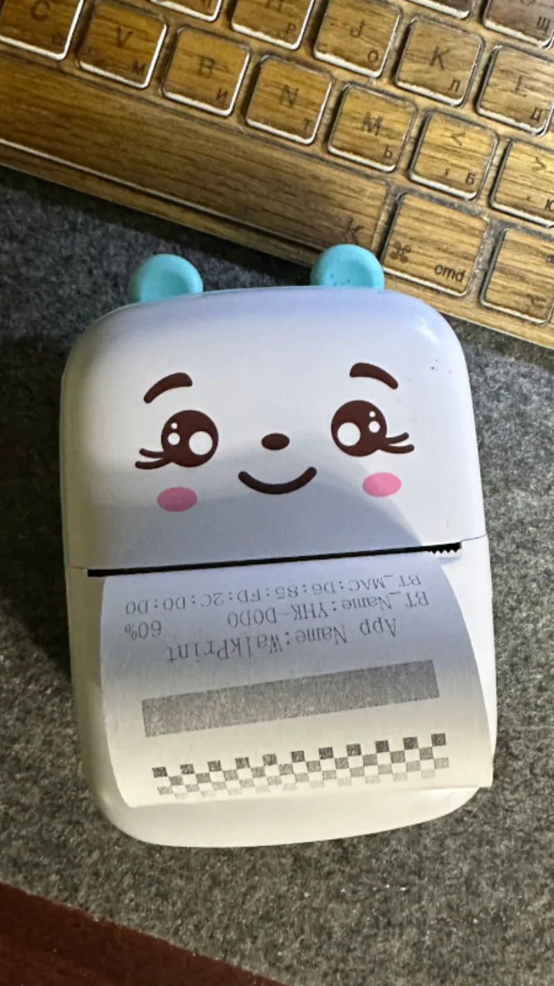 Cat printer producing a command-line test receipt